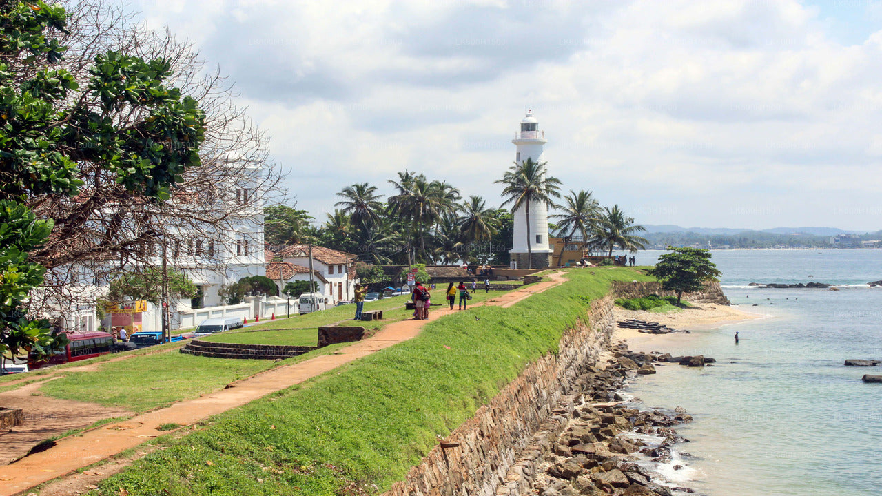 Virgin White Tea Factory and Galle Fort from Colombo
