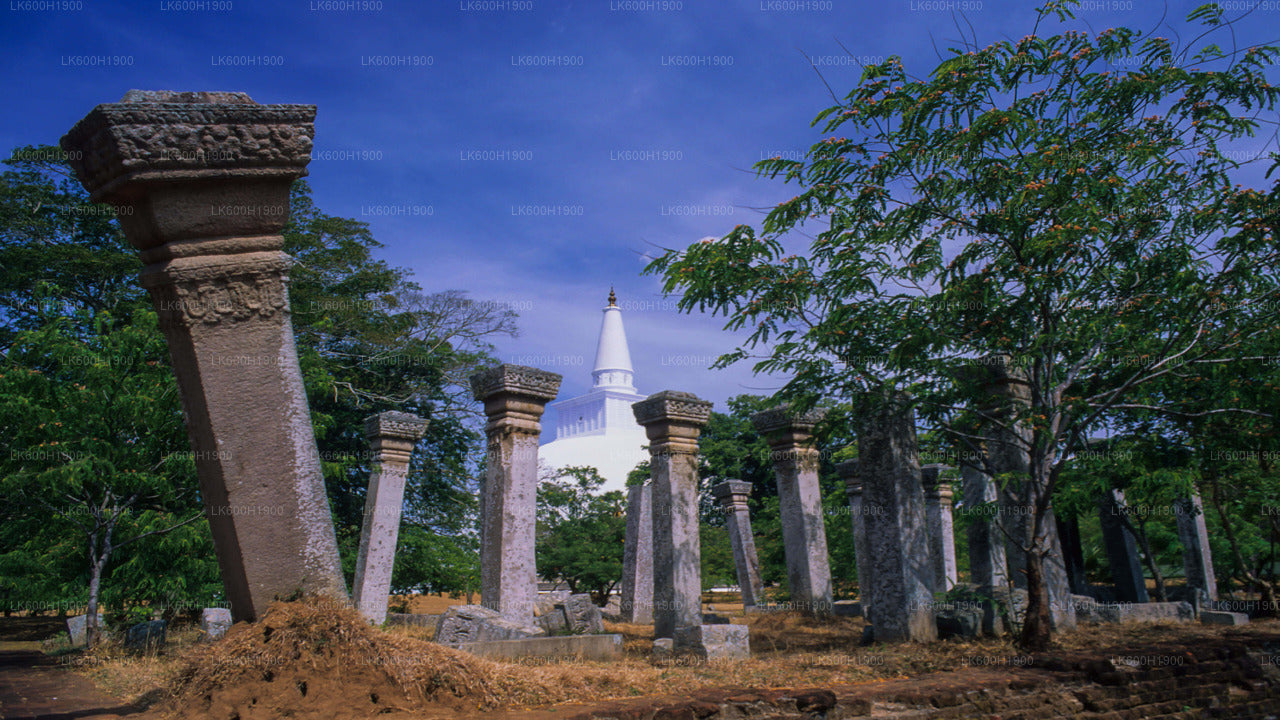 Sacred City of Anuradhapura from Colombo