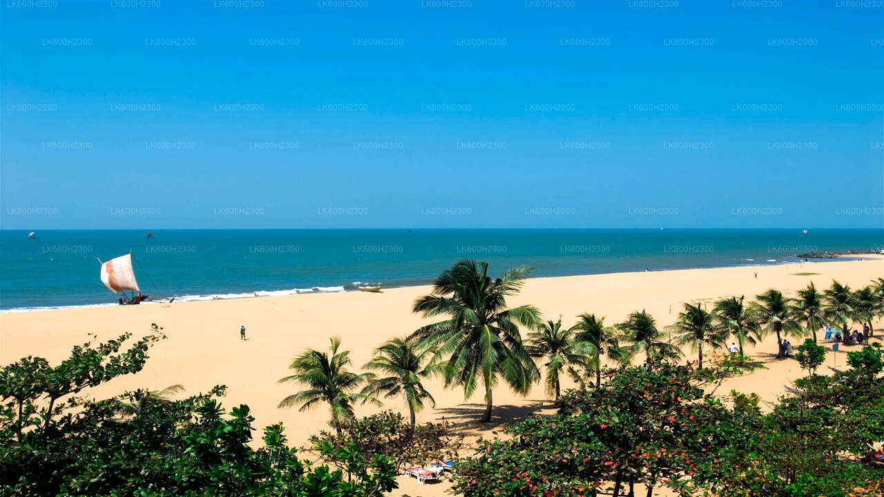 Negombo City Tour from Colombo