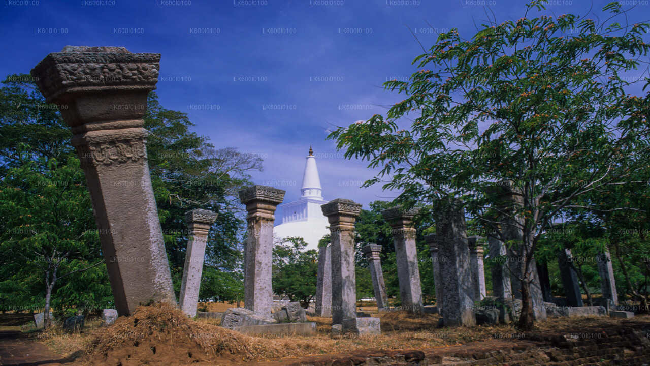 Sacred City of Anuradhapura from Dambulla