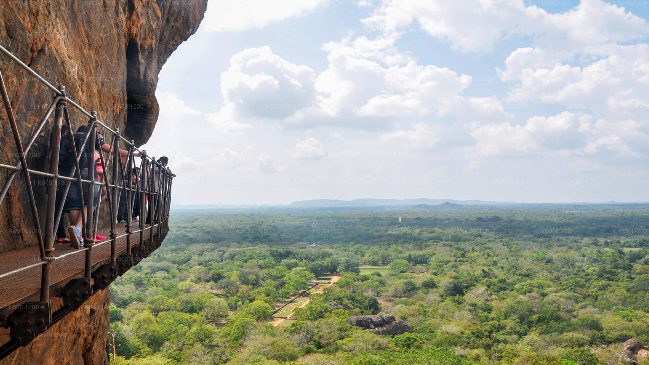 Sigiriya Rock and Wild Elephant Safari from Dambulla