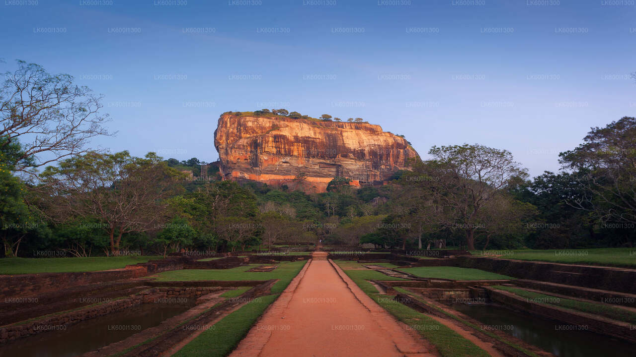 Sigiriya Rock and Village Tour from Dambulla