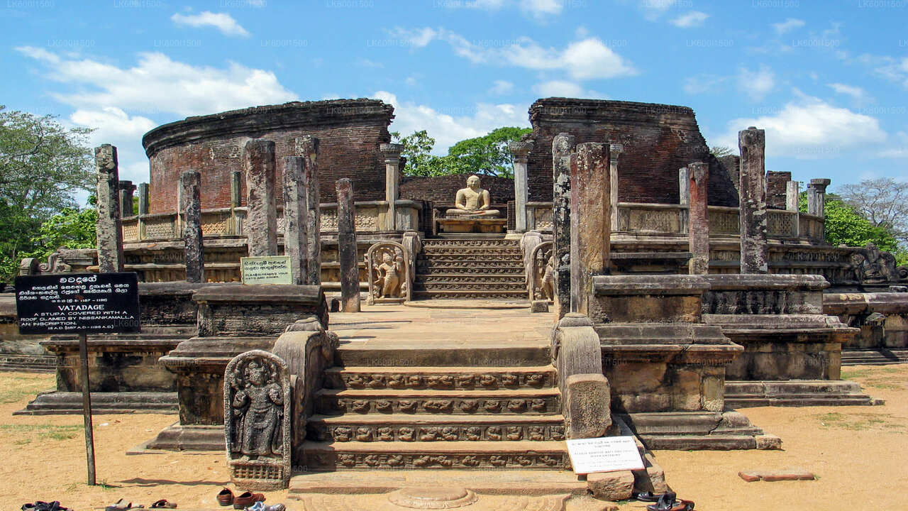 Polonnaruwa Ancient Kingdom and Wild Elephant Safari from Dambulla