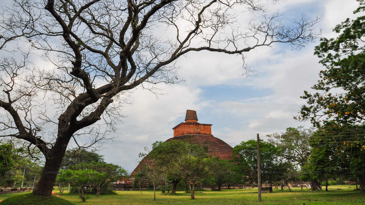 Anuradhapura Buddhist Icons Tour from Dambulla