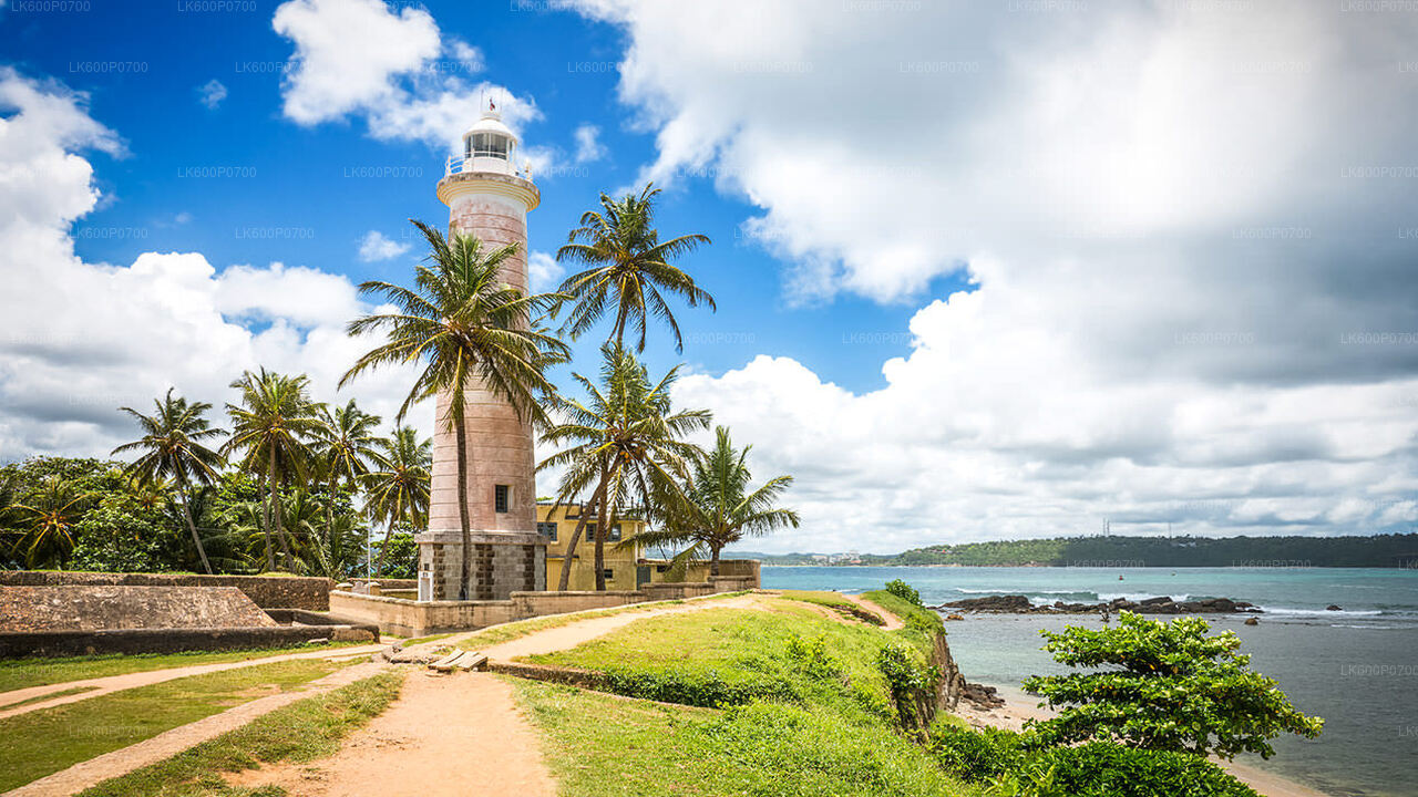 Ancient Dutch Fort Tour and River Safari from Galle