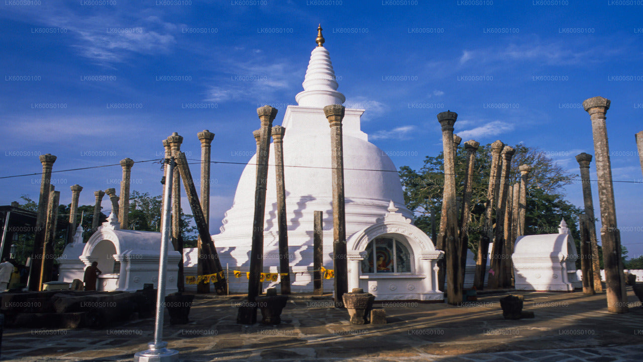 Sacred City of Anuradhapura from Habarana