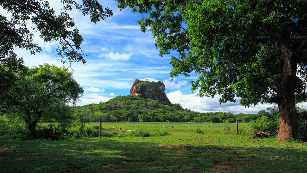 Sigiriya Rock and Village Tour from Habarana