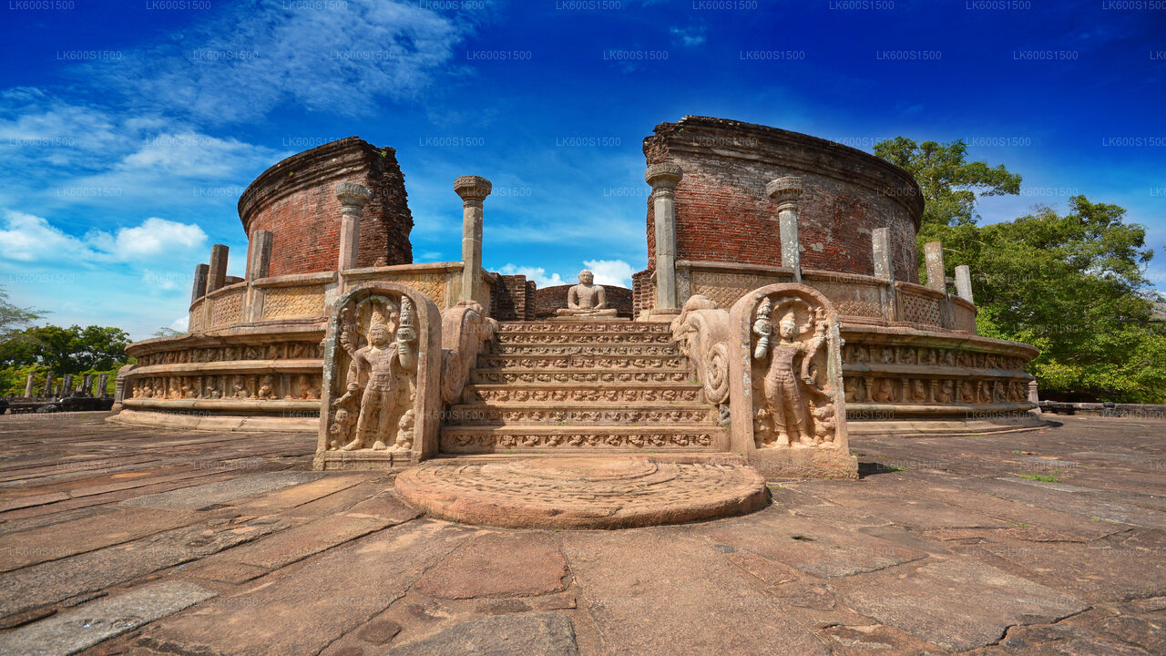 Polonnaruwa Ancient Kingdom and Wild Elephant Safari from Habarana