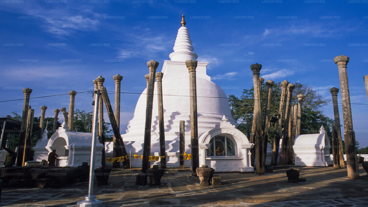 Anuradhapura Buddhist Icons Tour from Habarana