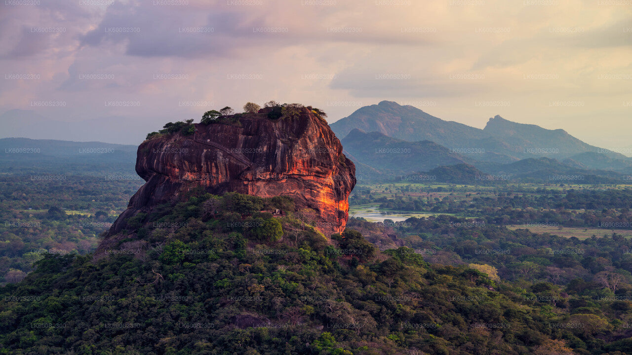 Sigiriya Rock and Countryside from Habarana