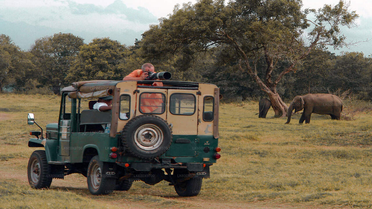 Udawalawe National Park Safari from Hikkaduwa