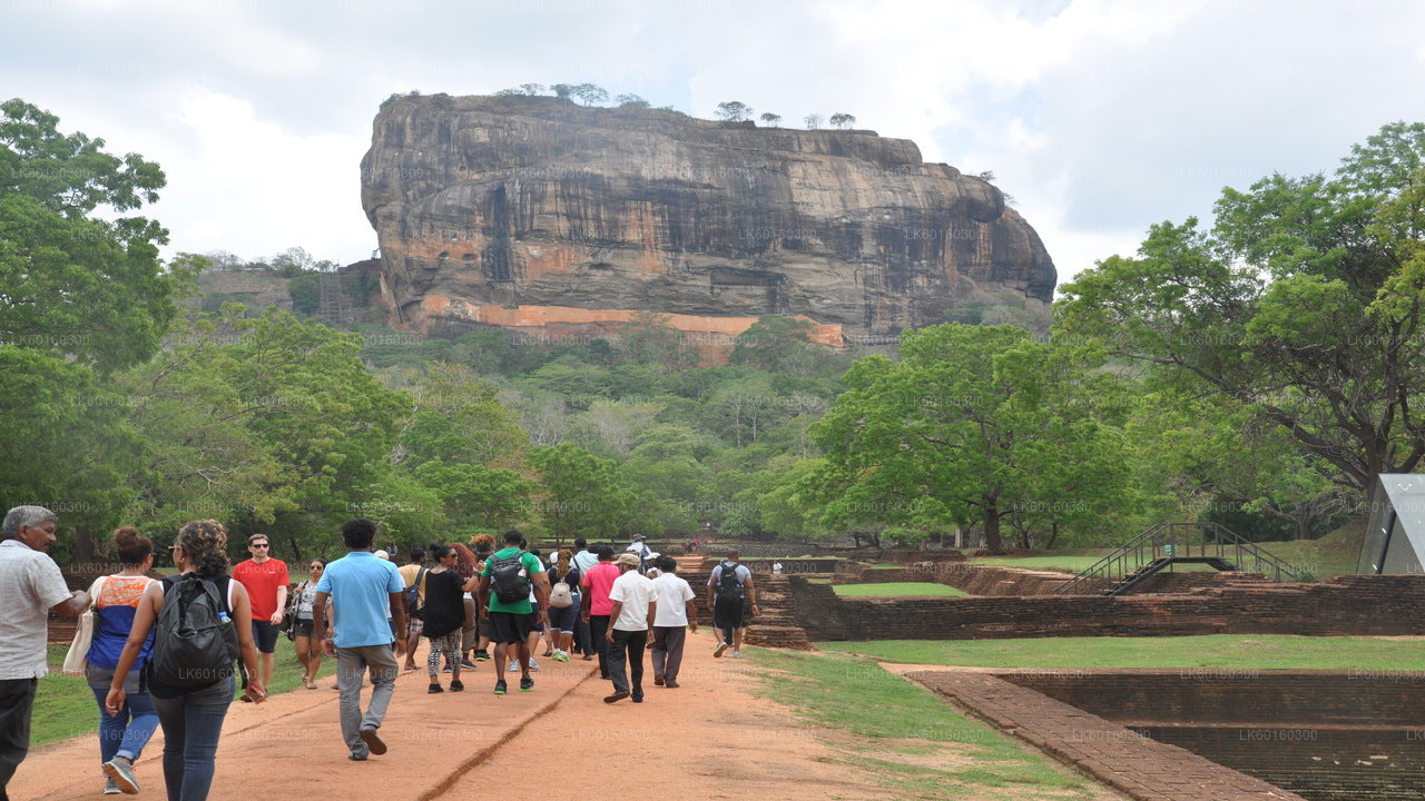 Sigiriya and Dambulla Cave from Kalutara