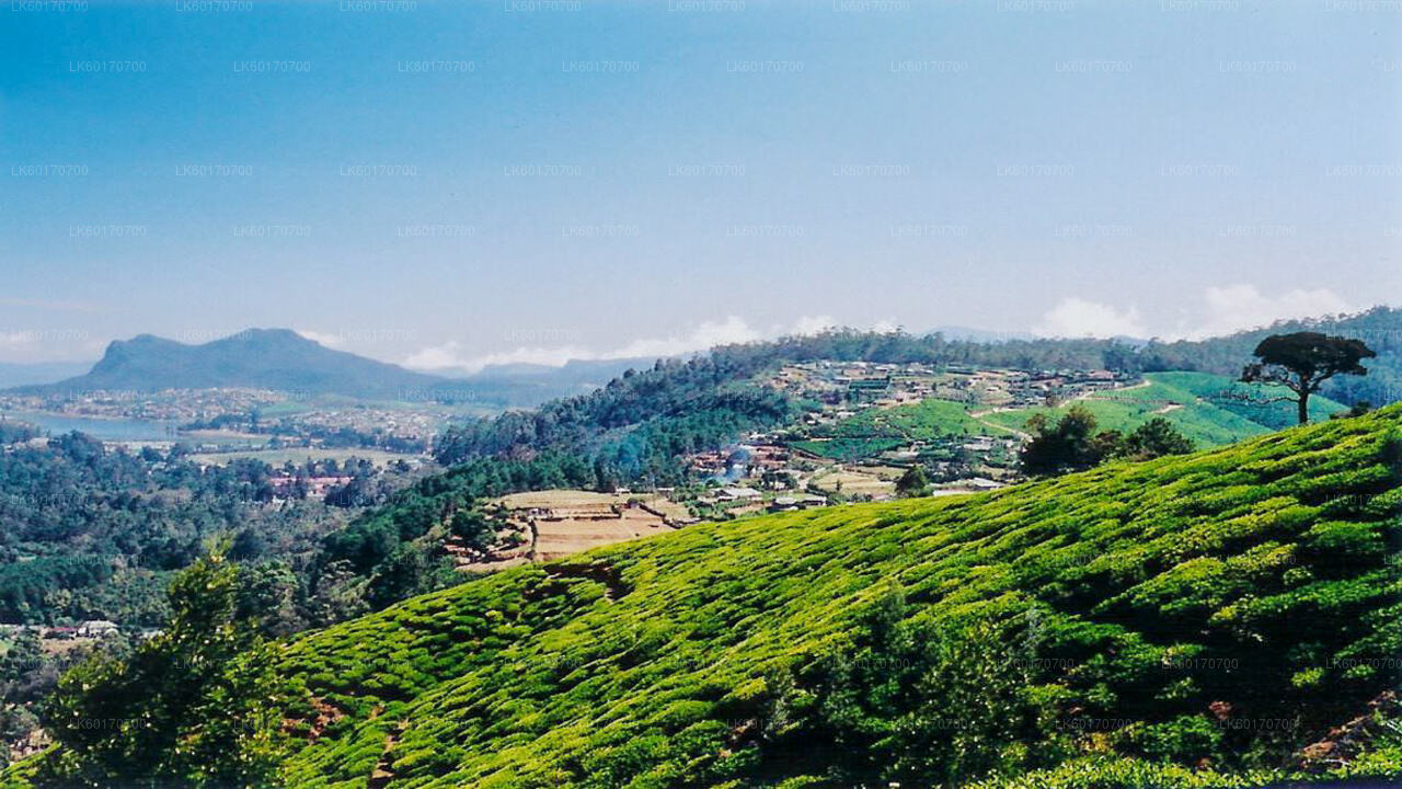 Central Highlands Peak Point from Kandy
