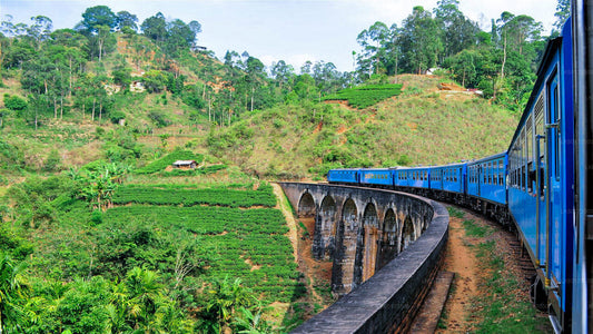 Scenic Train Ride to Ella from Kandy