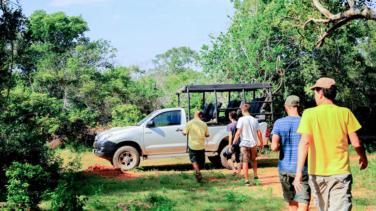 Yala National Park Safari from Koggala