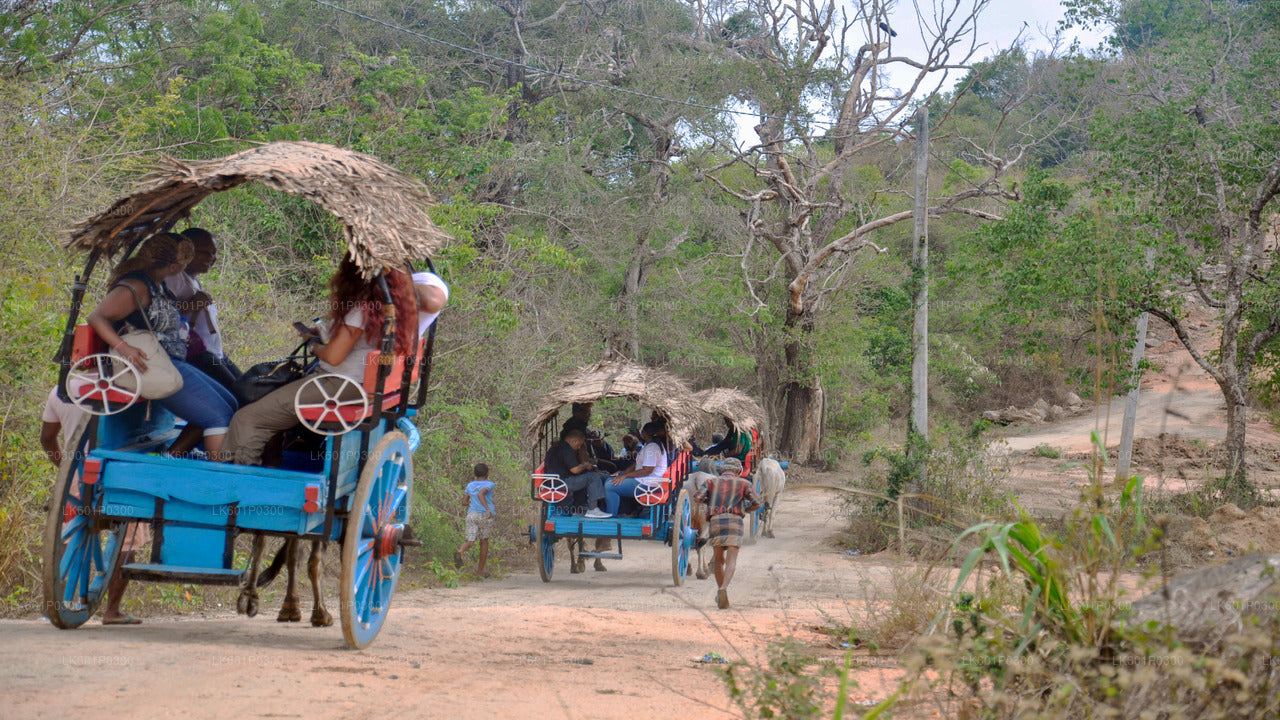 Sigiriya Village Tour from Negombo