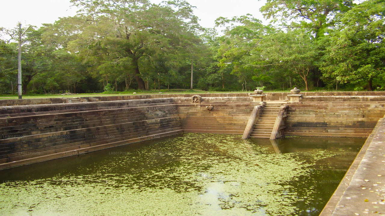 Sacred City of Anuradhapura from Negombo