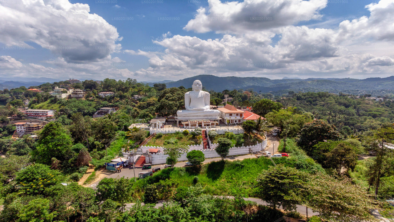 Kandy City Tour from Sigiriya