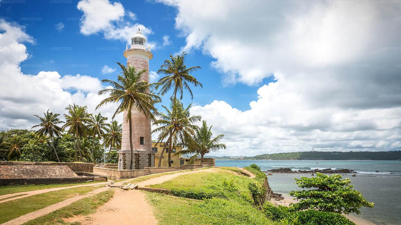 Bentota City Tour from Dikwella