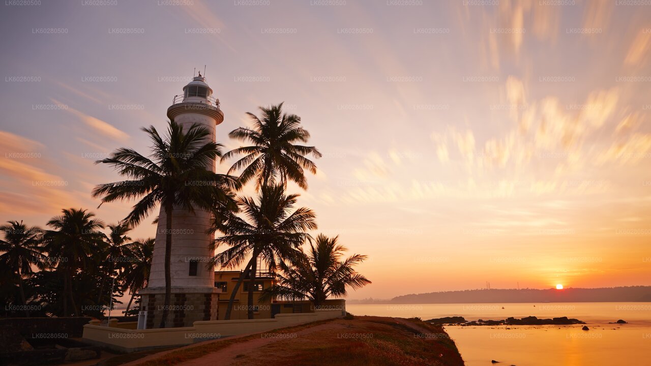 Southern Coast Highlights from Hambantota