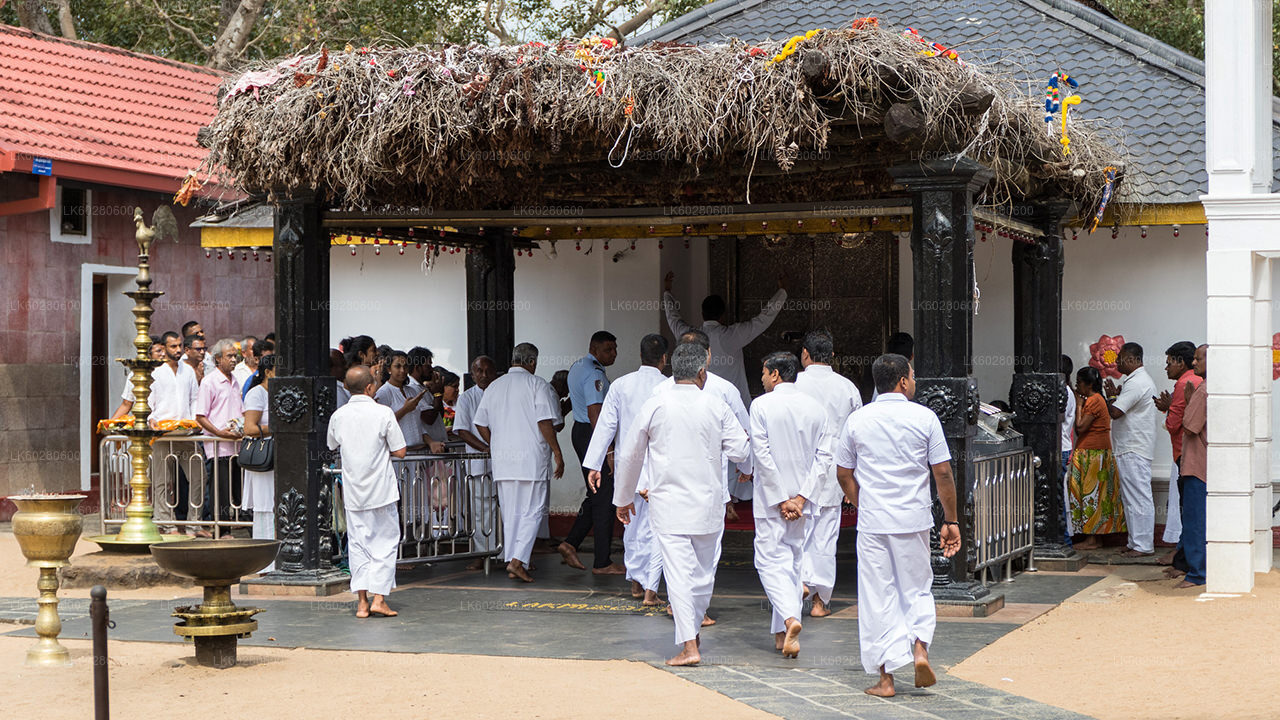 Ancient Temple Run Tour from Hambantota