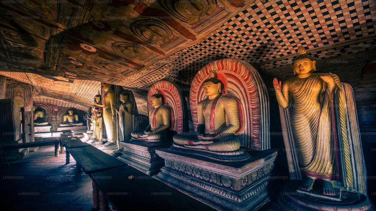 Sigiriya Rock and Dambulla Cave from Panadura