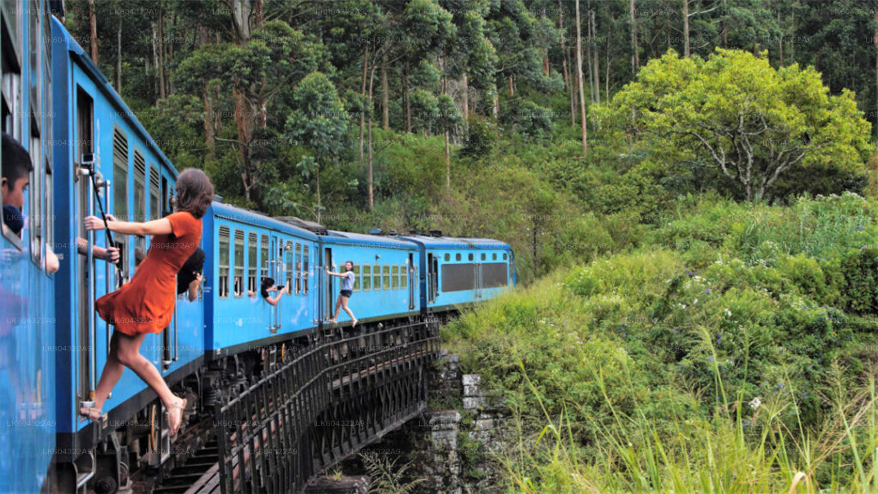 Scenic Train Ride to Nanu Oya from Kandy
