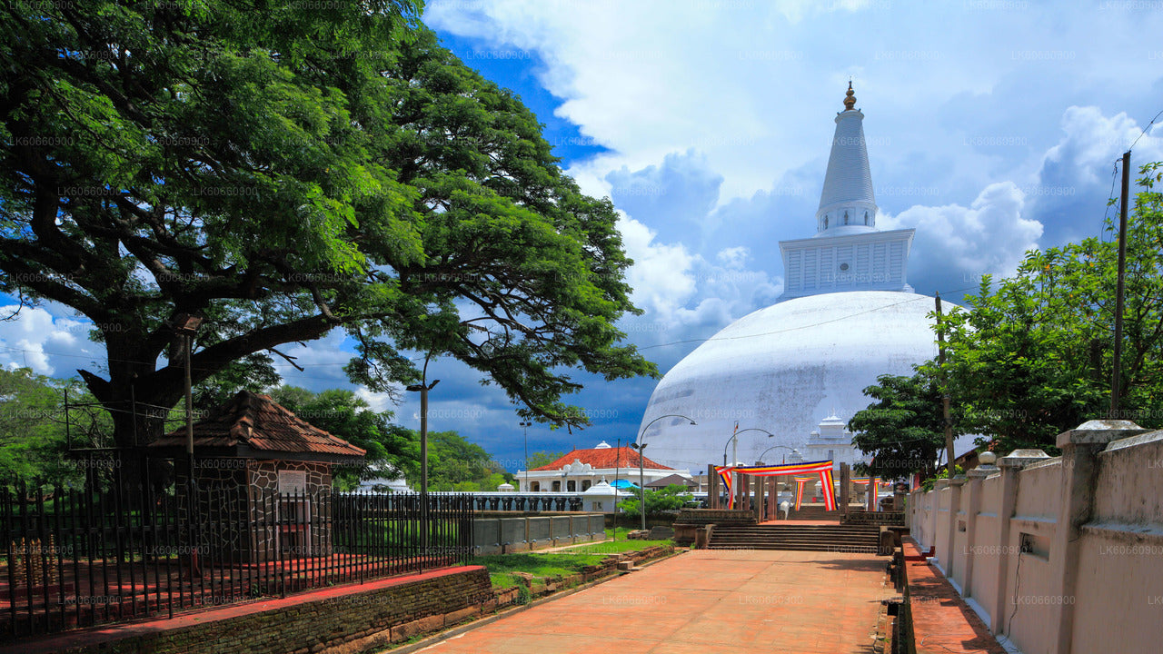 Sacred City of Anuradhapura from Mount Lavinia