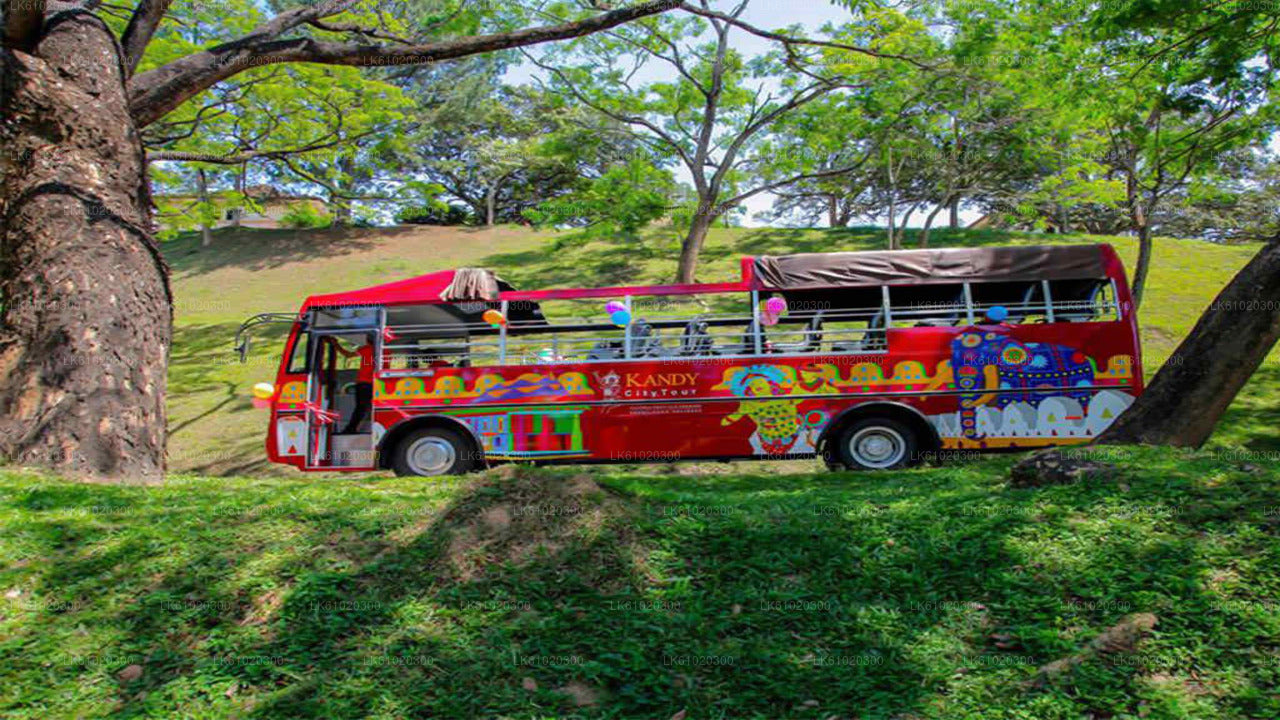 Kandy City Tour by Open-Deck Bus