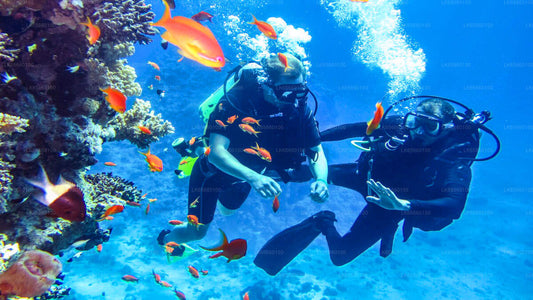 Scuba Diving from Mount Lavinia