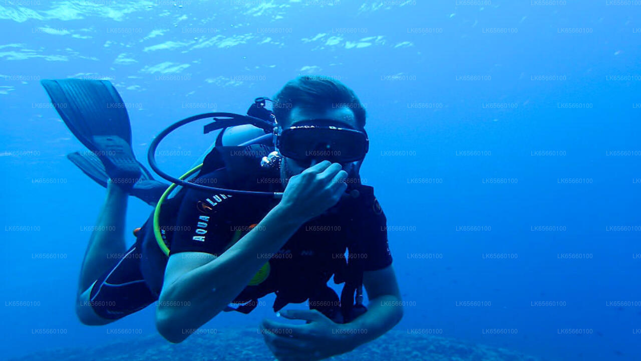 Scuba Diving from Mount Lavinia