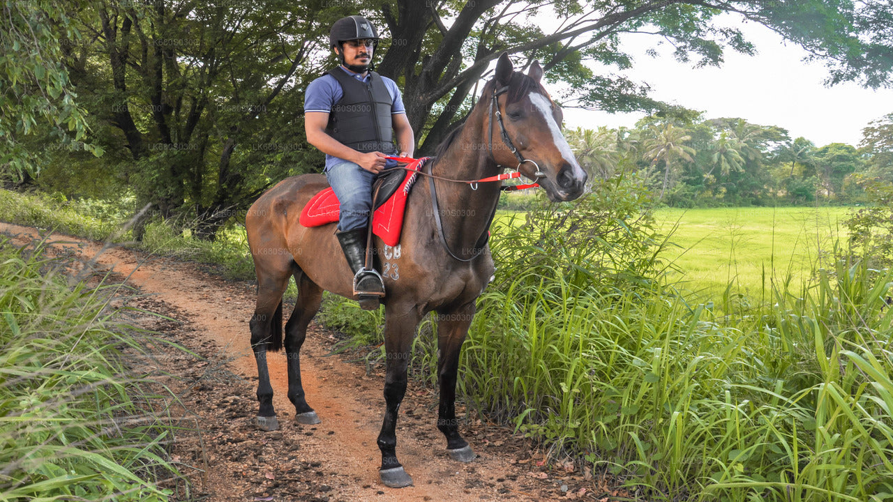 Horse Ride around a Village from Habarana