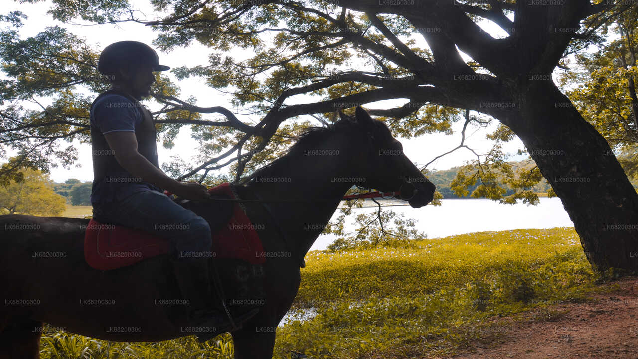 Horse Ride around a Village from Sigiriya
