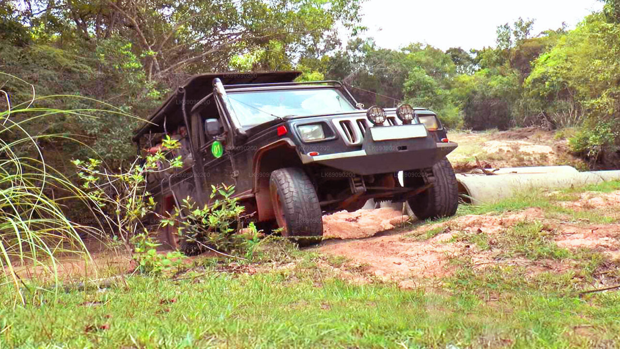 4WD Tour to Ella's Archaeological Sites from Ella