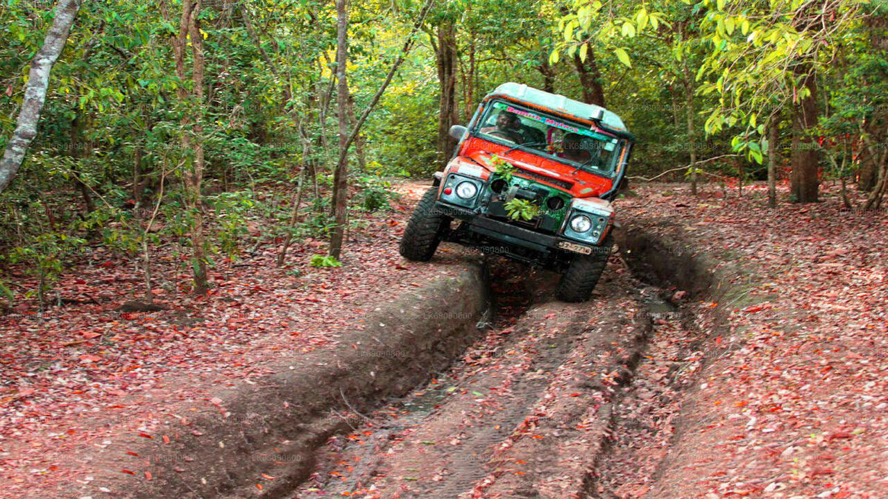 4WD Tour to Diyaluma Falls from Ella