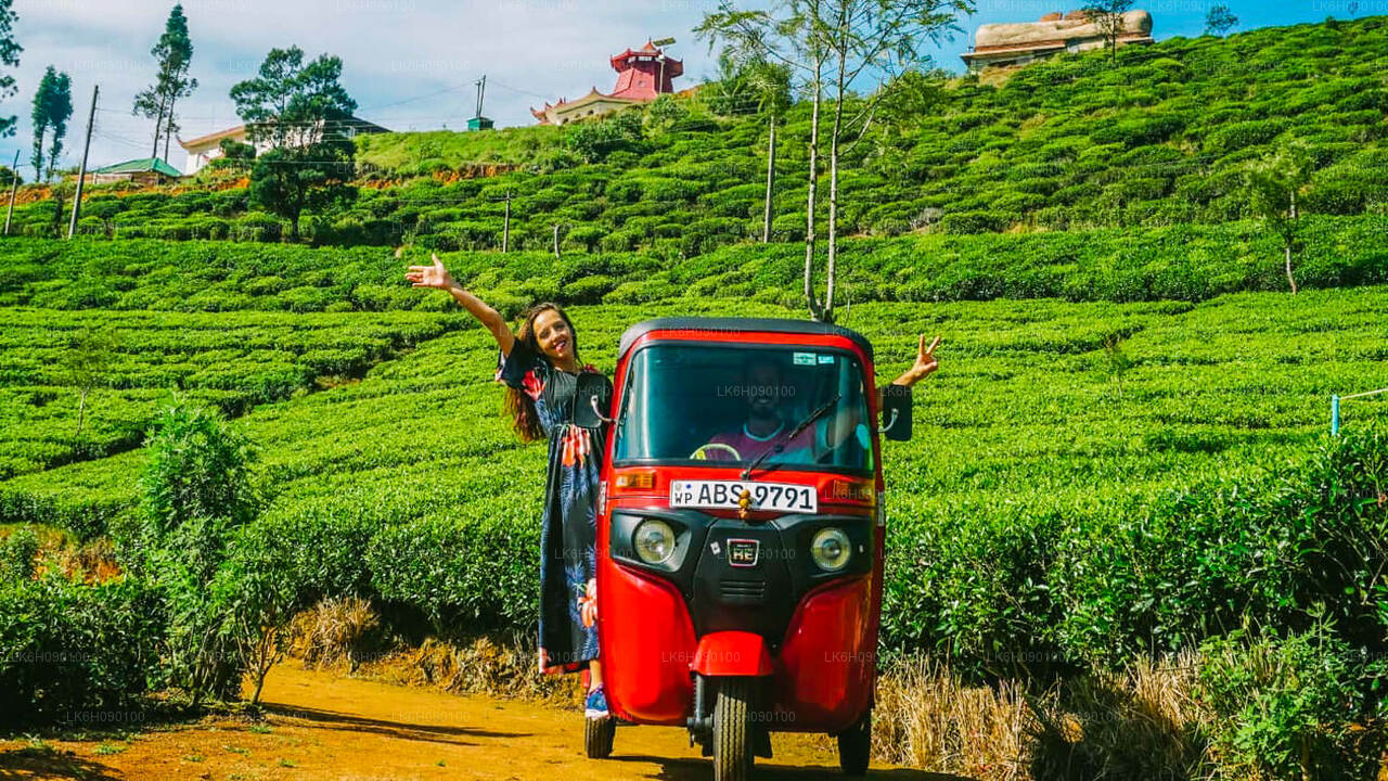 Tuk Tuk Adventure from Ella