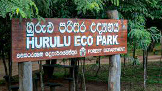 Hurulu Eco Park Entrance Tickets