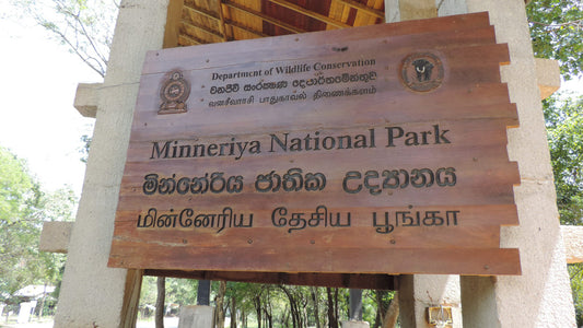 Minneriya National Park Entrance Ticket