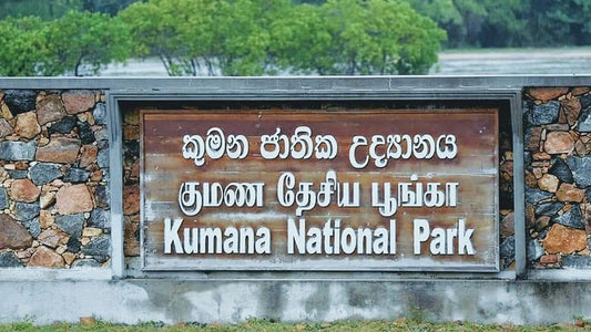 Kumana National Park Entrance Tickets
