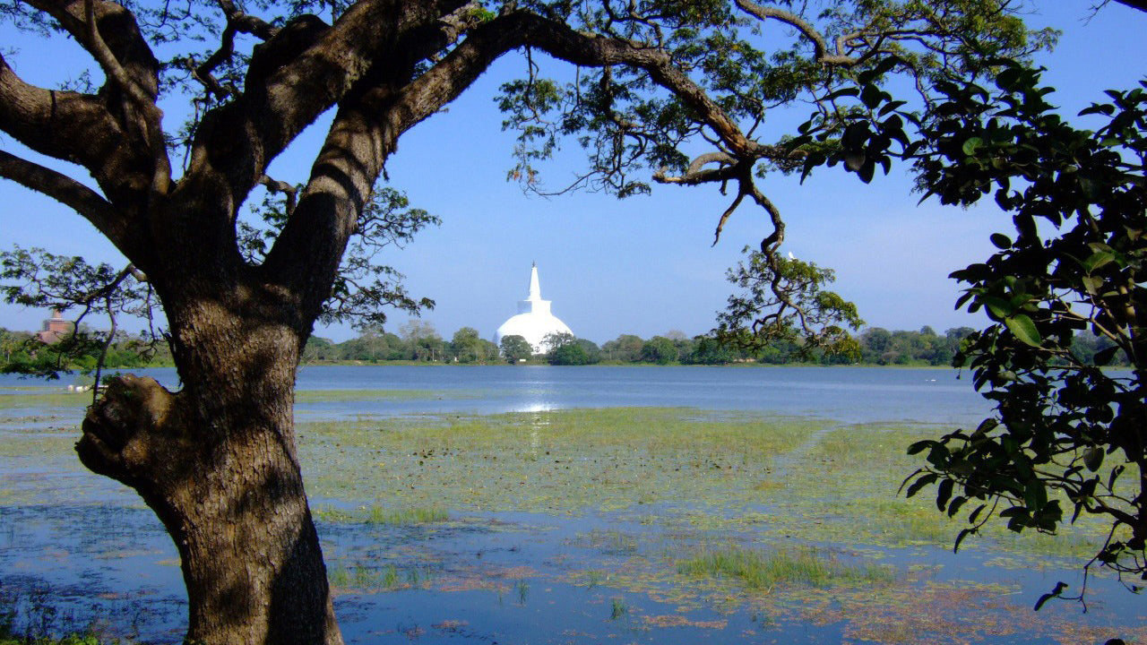 Anuradhapura Sacred Area Entrance Ticket