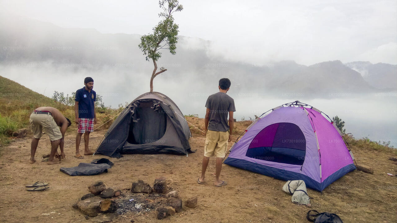 Camping at Wangedikanda and Hike to Bambarakanda Falls from Colombo (2 Days)
