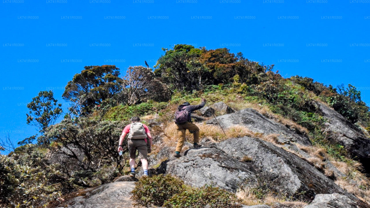 Hike to Kirigalpoththa Mountain Range via Horton Plains