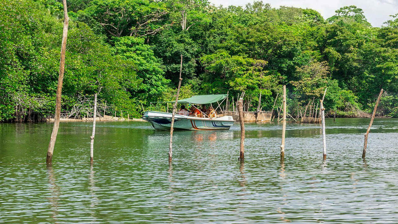 Madu River Boat Safari