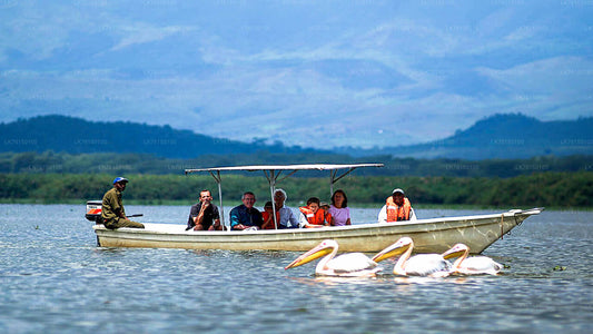 Lagoon Boat Tour from Kalpitiya