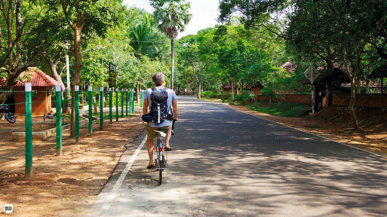 Kingdom Trail Cycling Tour from Colombo