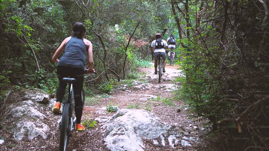 Urban Jungle Trail Cycling Tour from Colombo