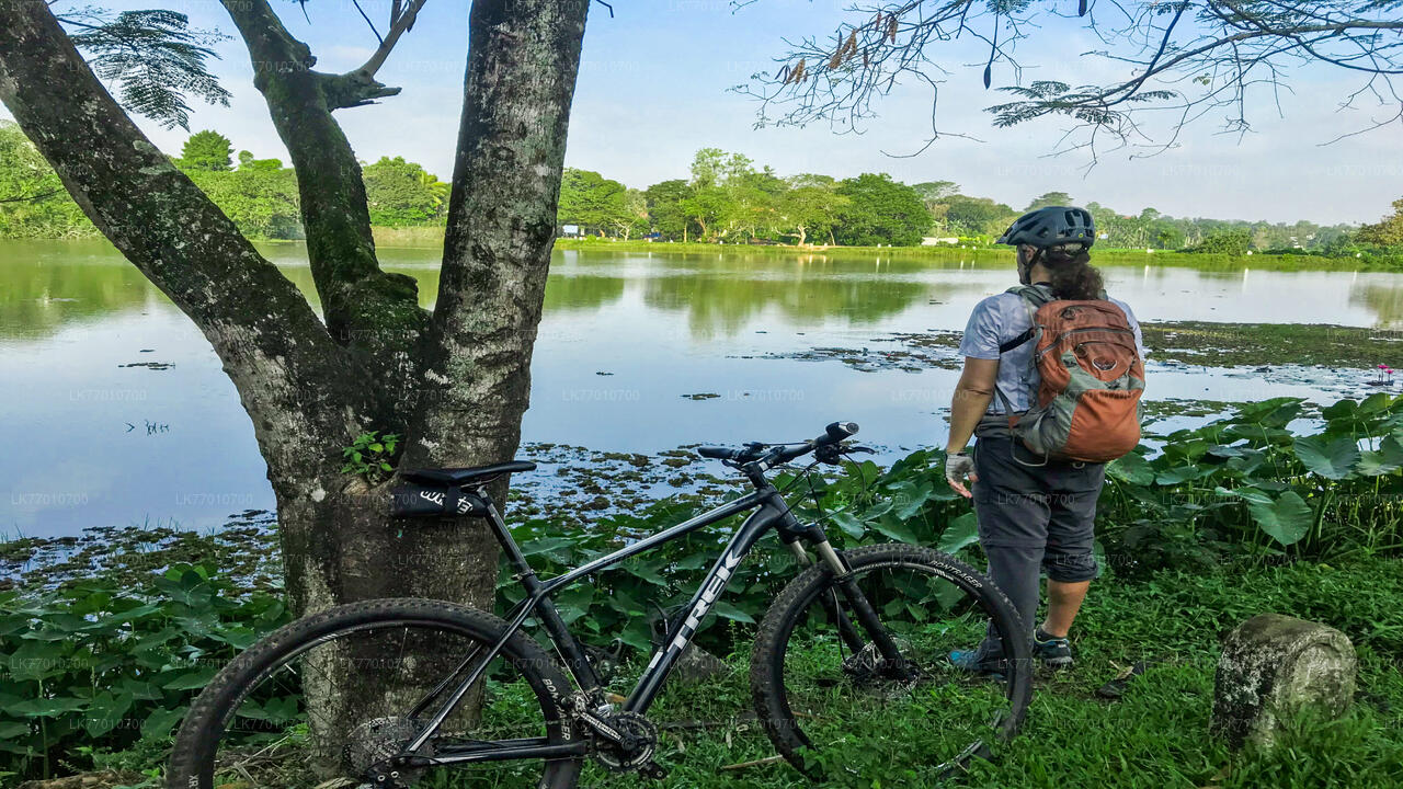 Cycling in Thalangama Wetland