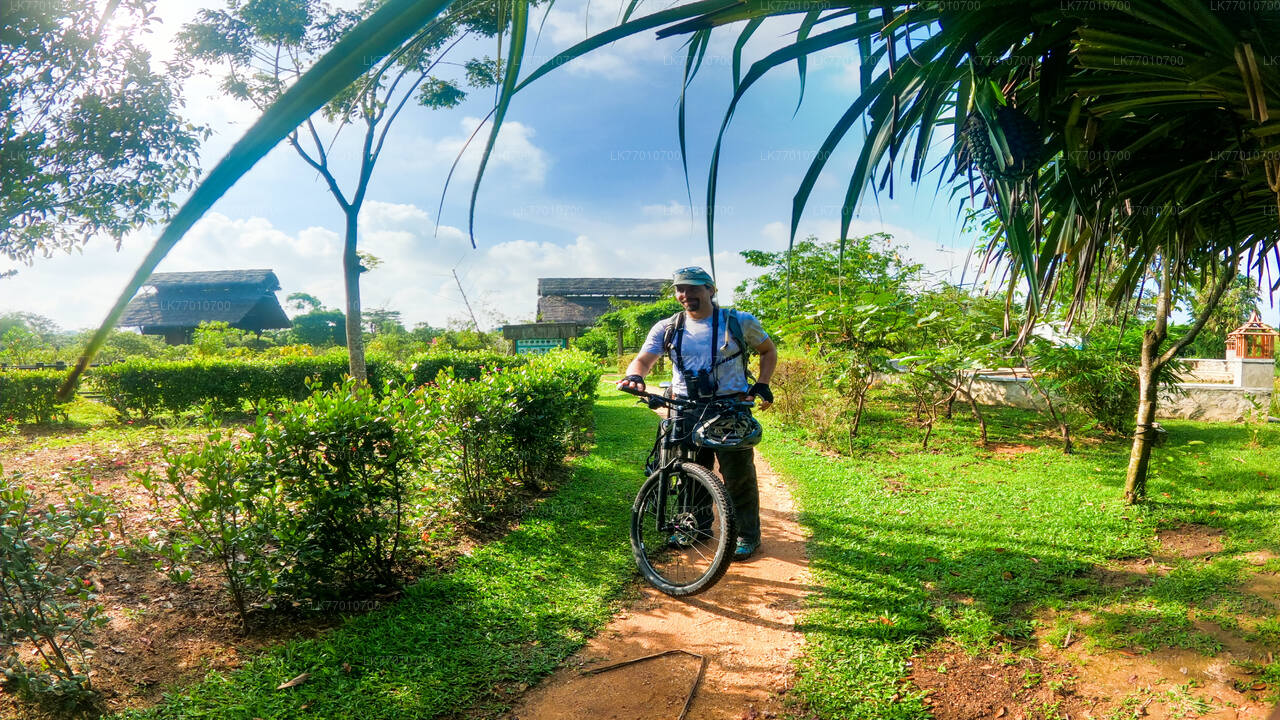 Cycling in Thalangama Wetland