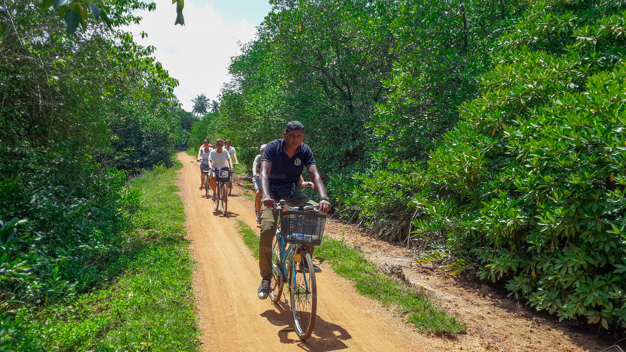 Adventure Cycling from Galle