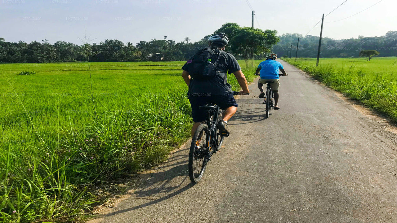 Adventure Cycling from Galle